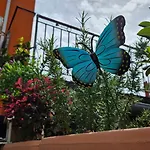 Mexicana Pink Apartman Zára