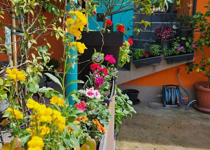 Mexicana Pink Lägenhet Zadar