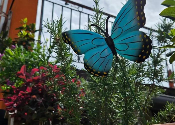 Mexicana Pink Lägenhet Zadar