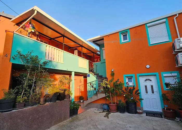 Mexicana Pink * Zadar