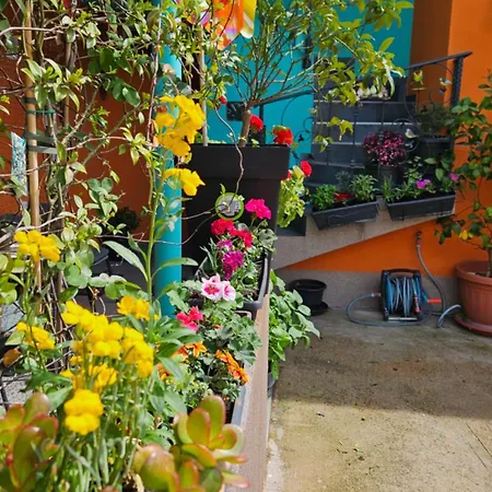 Mexicana Pink Appartamento Zara