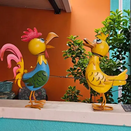 Appartamento Mexicana Pink