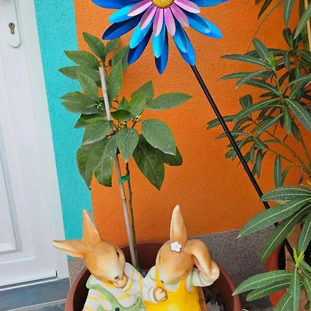 Appartamento Mexicana Pink *