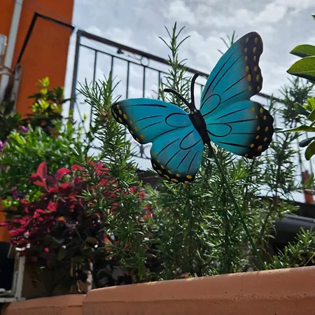 Mexicana Pink Appartement Zadar