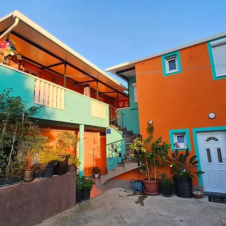 Mexicana Pink * Zara