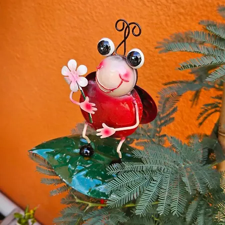 Mexicana Pink Appartement