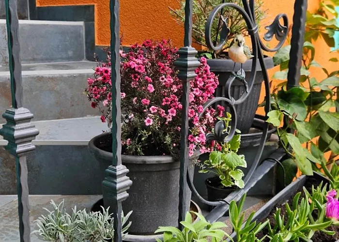 Apartment Mexicana Pink Zadar