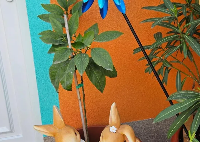 公寓 Mexicana Pink *