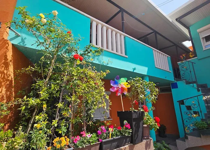 Mexicana Pink 扎达尔