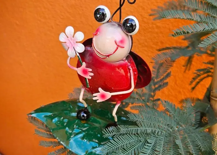 Mexicana Pink 公寓